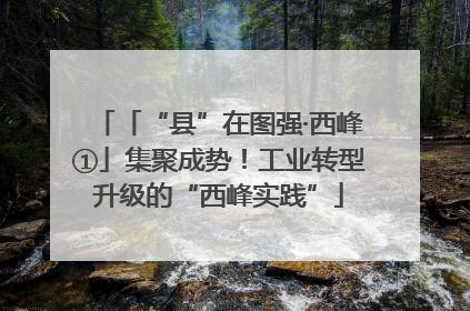 「“县”在图强·西峰①」集聚成势！工业转型升级的“西峰实践”