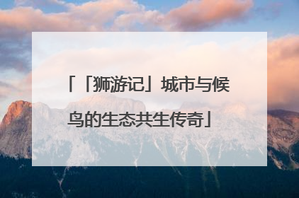 「狮游记」城市与候鸟的生态共生传奇