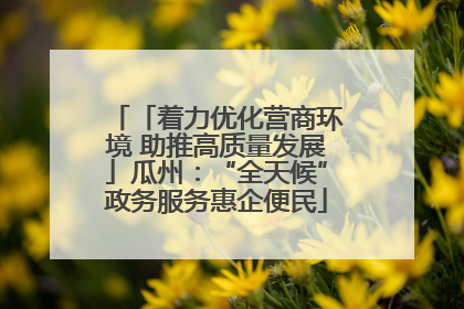 「着力优化营商环境 助推高质量发展」瓜州：“全天候”政务服务惠企便民