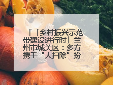 「乡村振兴示范带建设进行时」兰州市城关区：多方携手“大扫除”扮靓乡村“颜值”