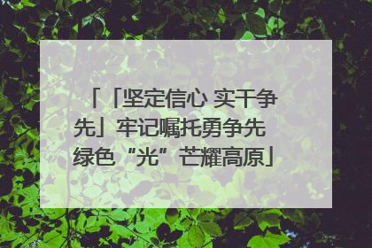 「坚定信心 实干争先」牢记嘱托勇争先 绿色“光”芒耀高原