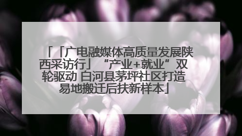「广电融媒体高质量发展陕西采访行」“产业+就业”双轮驱动 白河县茅坪社区打造易地搬迁后扶新样本