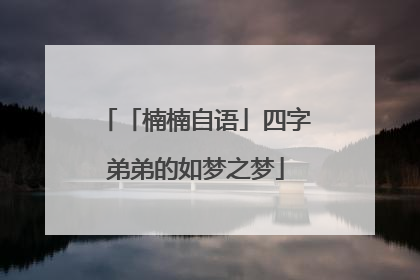 「楠楠自语」四字弟弟的如梦之梦