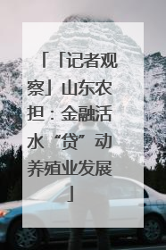 「记者观察」山东农担：金融活水“贷”动养殖业发展