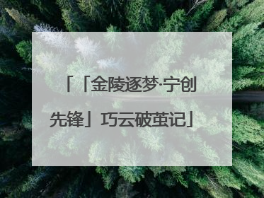「金陵逐梦·宁创先锋」巧云破茧记