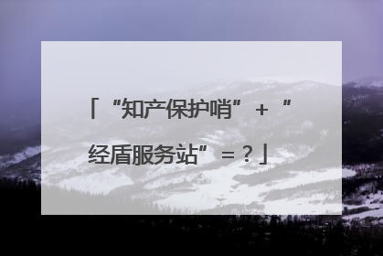 “知产保护哨”+“经盾服务站”=？