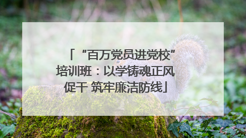 “百万党员进党校”培训班：以学铸魂正风促干 筑牢廉洁防线