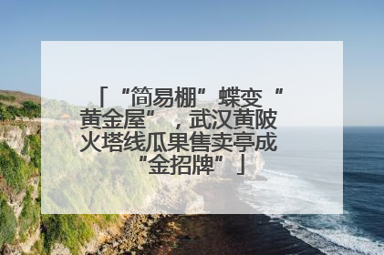 “简易棚”蝶变“黄金屋”，武汉黄陂火塔线瓜果售卖亭成“金招牌”