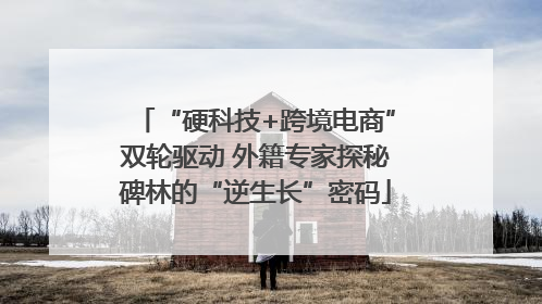 “硬科技+跨境电商”双轮驱动 外籍专家探秘碑林的“逆生长”密码