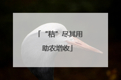 “秸”尽其用 助农增收