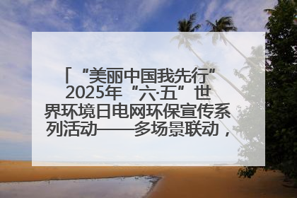“美丽中国我先行” 2025年“六·五”世界环境日电网环保宣传系列活动——多场景联动，共筑生态发展新图景