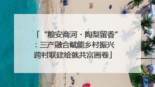 “粮安商河・陶梨留香”：三产融合赋能乡村振兴 跨村联建绘就共富画卷
