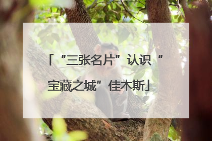 “三张名片”认识“宝藏之城”佳木斯