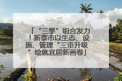 “三拳”组合发力！新泰市以生态、设施、管理“三重升级”绘就宜居新画卷
