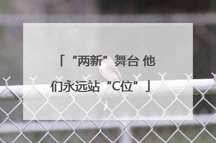 “两新”舞台 他们永远站“C位”