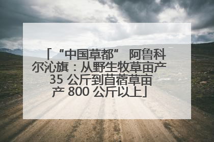 “中国草都” 阿鲁科尔沁旗：从野生牧草亩产 35 公斤到苜蓿草亩产 800 公斤以上
