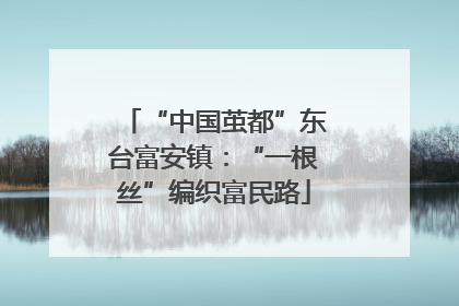 “中国茧都”东台富安镇：“一根丝”编织富民路