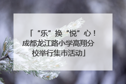“乐”换“悦”心！成都龙江路小学高翔分校举行集市活动