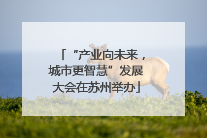 “产业向未来，城市更智慧”发展大会在苏州举办