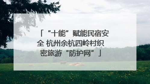 “十能”赋能民宿安全 杭州余杭四岭村织密旅游“防护网”