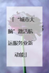 “城市大脑”激活航运服务业新动能