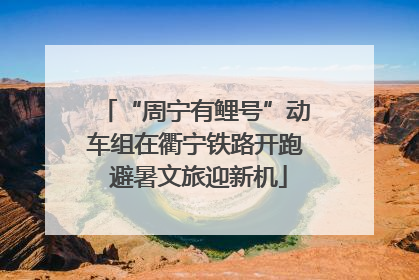 “周宁有鲤号”动车组在衢宁铁路开跑 避暑文旅迎新机