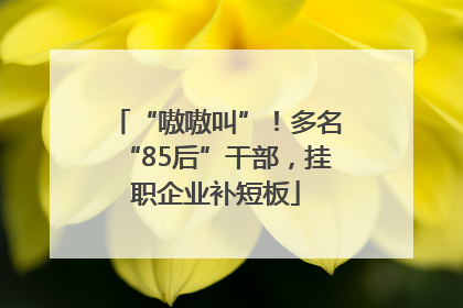 “嗷嗷叫”！多名“85后”干部，挂职企业补短板