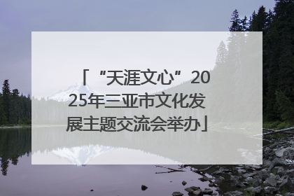 “天涯文心”2025年三亚市文化发展主题交流会举办