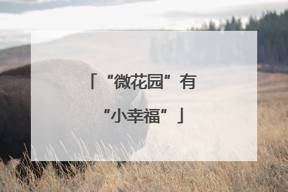 “微花园”有“小幸福”