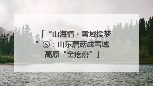 “山海情・雪域援梦”⑤：山东蘑菇成雪域高原“金疙瘩”