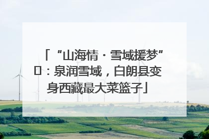 “山海情・雪域援梦”⑪：泉润雪域，白朗县变身西藏最大菜篮子