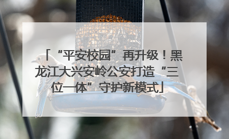 “平安校园”再升级！黑龙江大兴安岭公安打造“三位一体”守护新模式