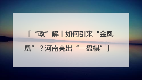 “政”解丨如何引来“金凤凰”？河南亮出“一盘棋”