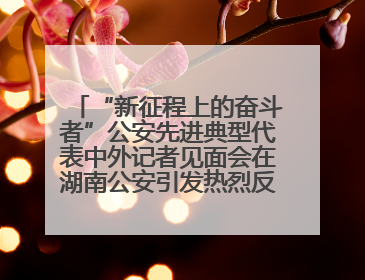 “新征程上的奋斗者”公安先进典型代表中外记者见面会在湖南公安引发热烈反响(二)