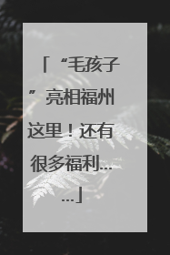 “毛孩子”亮相福州这里！还有很多福利……