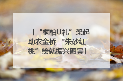 “桐柏U礼”架起助农金桥 “朱砂红桃”绘就振兴图景