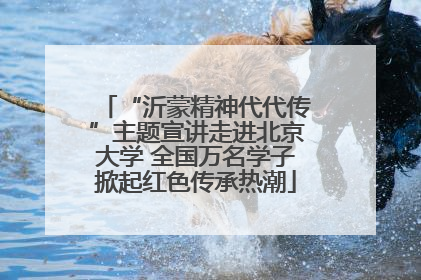 “沂蒙精神代代传”主题宣讲走进北京大学 全国万名学子掀起红色传承热潮