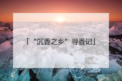 “沉香之乡”寻香记