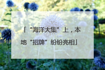 “海洋大集”上，本地“招牌”纷纷亮相