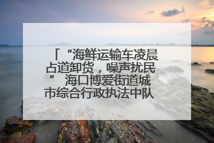 “海鲜运输车凌晨占道卸货，噪声扰民” 海口博爱街道城市综合行政执法中队：将联合交警加强长堤路一带巡逻