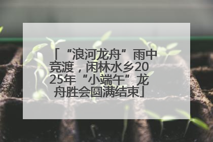 “浪河龙舟”雨中竞渡，闲林水乡2025年“小端午”龙舟胜会圆满结束