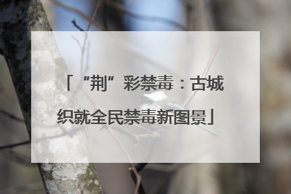 “荆”彩禁毒：古城织就全民禁毒新图景