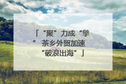 “聚”力成“擎” 茶乡外贸加速“破浪出海”