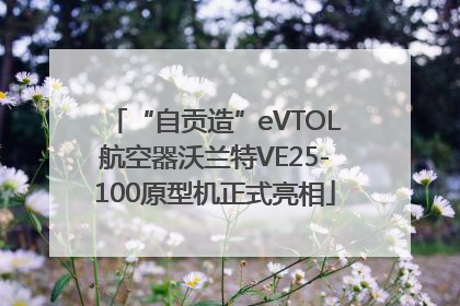 “自贡造”eVTOL航空器沃兰特VE25-100原型机正式亮相