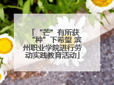 “芒”有所获 “种”下希望 滨州职业学院进行劳动实践教育活动