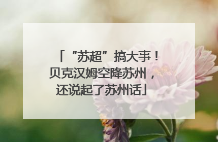 “苏超”搞大事！贝克汉姆空降苏州，还说起了苏州话