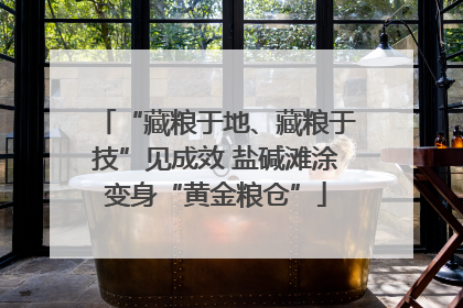 “藏粮于地、藏粮于技”见成效 盐碱滩涂变身“黄金粮仓”