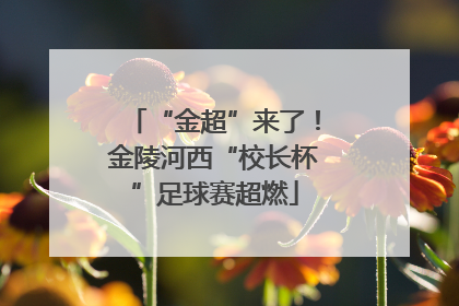 “金超”来了！金陵河西“校长杯”足球赛超燃