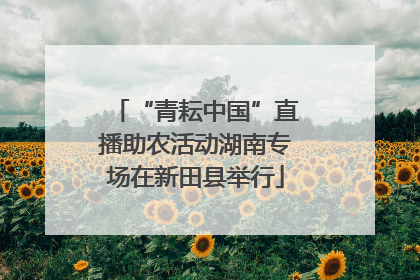“青耘中国”直播助农活动湖南专场在新田县举行
