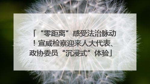 “零距离”感受法治脉动！宣威检察迎来人大代表、政协委员“沉浸式”体验
